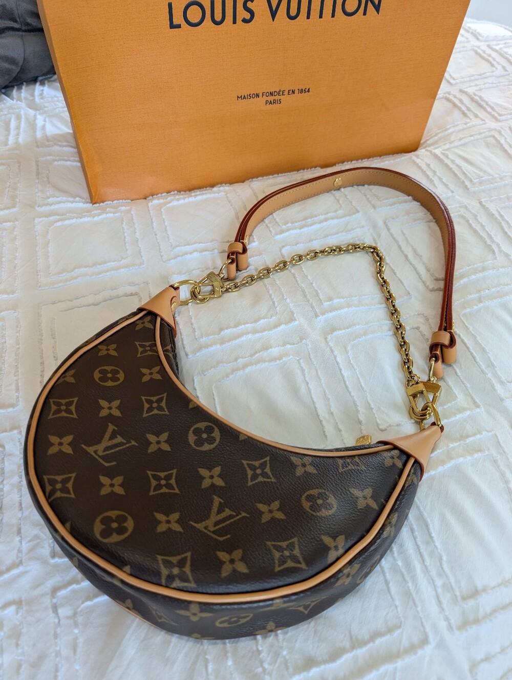 Louis Vuitton Monogram Loop Bag